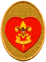 Life Scout Patch