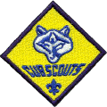 Cub Scouts Program Home Page